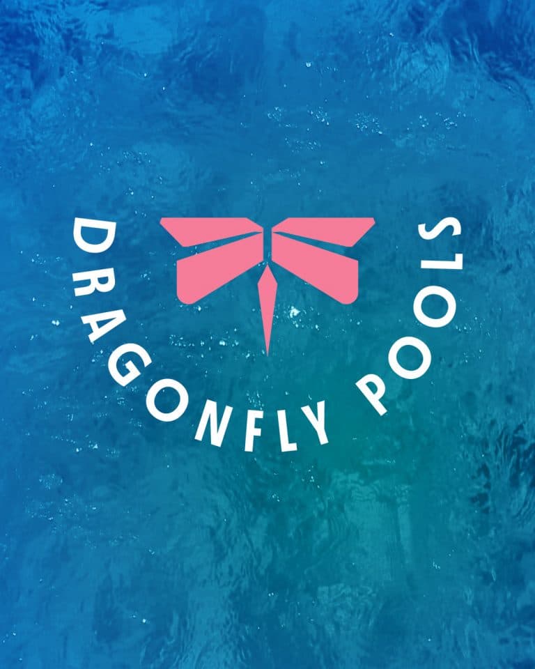 DragonFly Pools LA Brand Identity